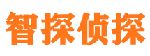 临潼侦探公司